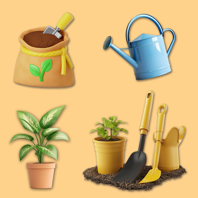 Gardening on a Budget